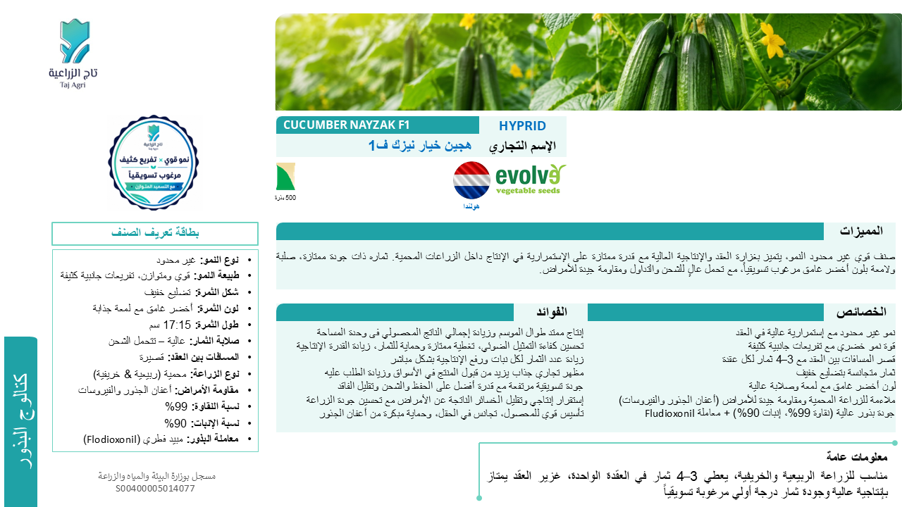 خيار هجين النيزك ف1