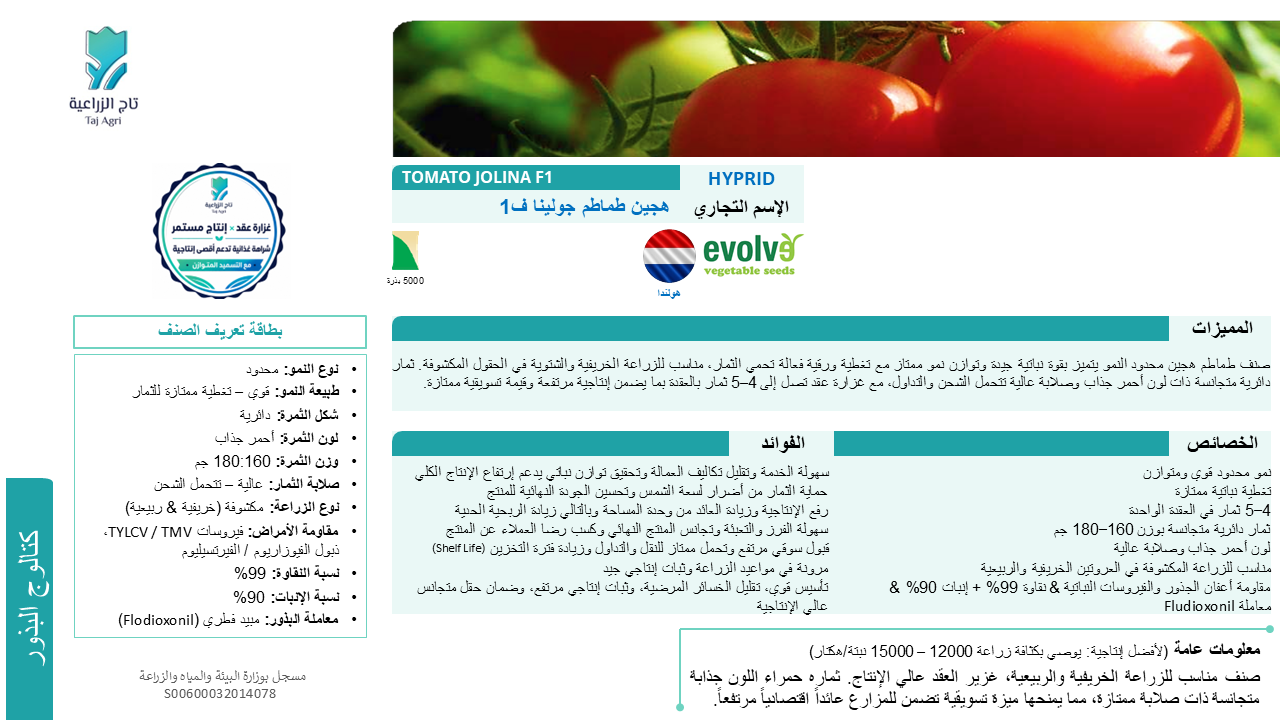طماطم هجين جولينا ف1
