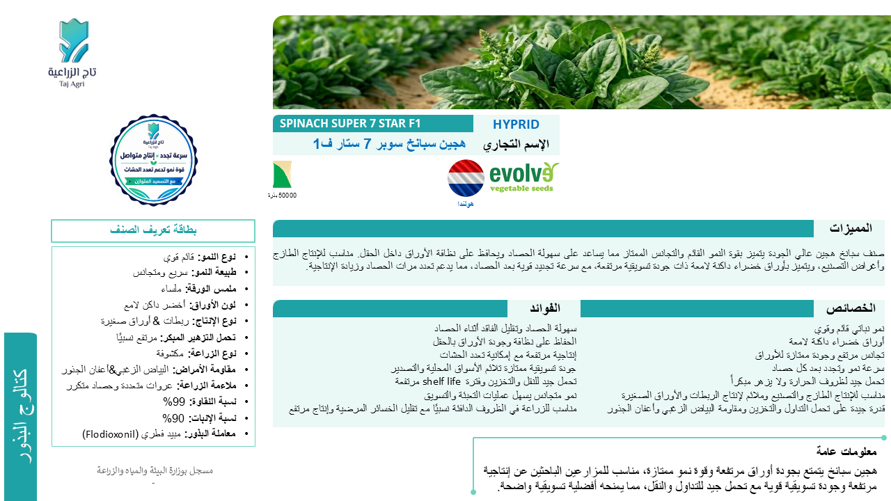 سبانخ سوبر 7 ستار ف1
